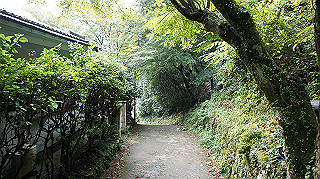 dsc00020_thumb.jpg