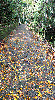 dsc00024_thumb.jpg