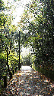 dsc00026_thumb.jpg