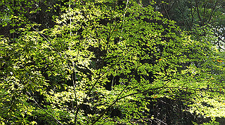 dsc00027_thumb.jpg