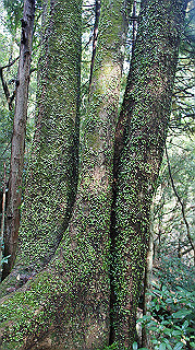 dsc00028_thumb.jpg