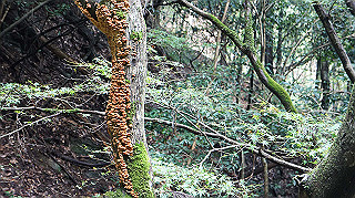 dsc00029_thumb.jpg