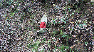 dsc00032_thumb.jpg