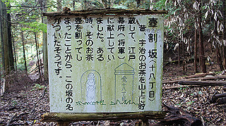 dsc00034_thumb.jpg