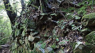 dsc00037_thumb.jpg