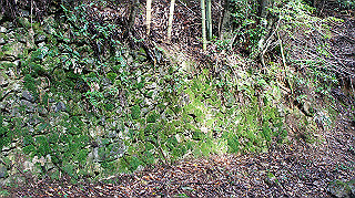 dsc00038_thumb.jpg