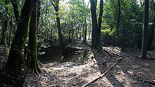 dsc00041_thumb.jpg