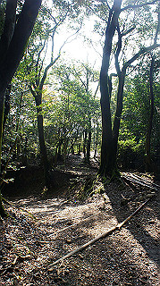 dsc00042_thumb.jpg