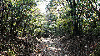 dsc00051_thumb.jpg
