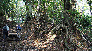 dsc00053_thumb.jpg