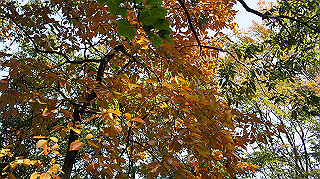 dsc00057_thumb.jpg