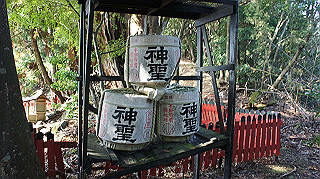 dsc00060_thumb.jpg