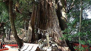 dsc00061_thumb.jpg