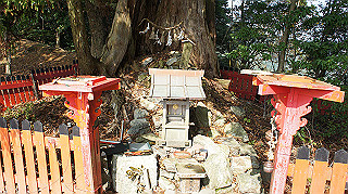 dsc00062_thumb.jpg