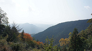 dsc00064_thumb.jpg