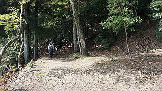 dsc00065_thumb.jpg
