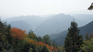 dsc00066_thumb.jpg