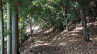dsc00068_thumb.jpg