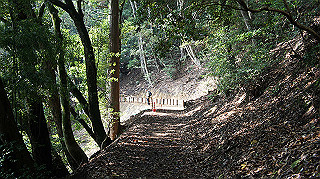 dsc00070_thumb.jpg