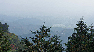 dsc00077_thumb.jpg