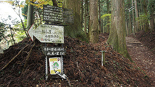 dsc00079_thumb.jpg