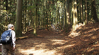 dsc00080_thumb.jpg