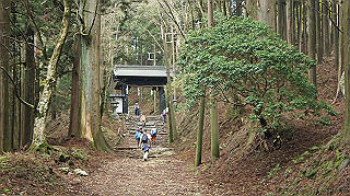 dsc00083_thumb.jpg