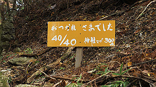 dsc00090_thumb.jpg