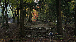dsc00091_thumb.jpg