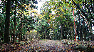 dsc00092_thumb.jpg