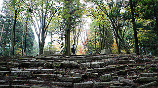 dsc00093_thumb.jpg