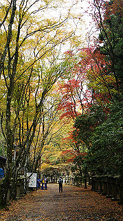 dsc00097_thumb.jpg
