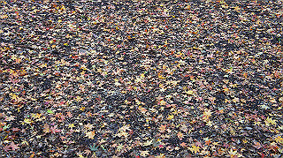 dsc00102_thumb.jpg