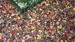 dsc00103_thumb.jpg