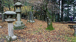 dsc00105_thumb.jpg