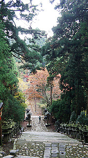 dsc00113_thumb.jpg