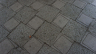 dsc00119_thumb.jpg