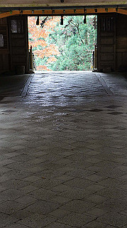 dsc00124_thumb.jpg
