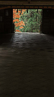 dsc00125_thumb.jpg