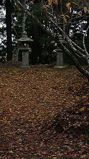 dsc00127_thumb.jpg