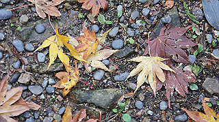 dsc00134_thumb.jpg