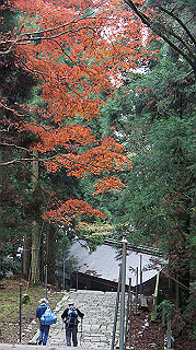 dsc00135_thumb.jpg