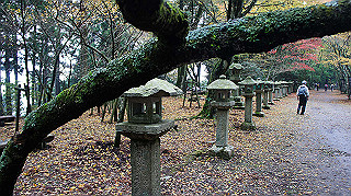 dsc00138_thumb.jpg
