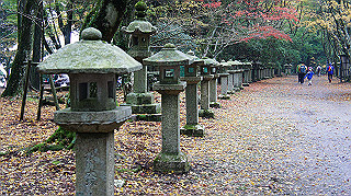 dsc00139_thumb.jpg