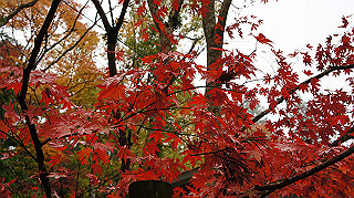 dsc00147_thumb.jpg