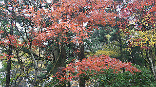 dsc00151_thumb.jpg