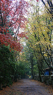 dsc00152_thumb.jpg