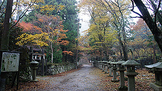 dsc00153_thumb.jpg