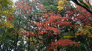 dsc00154_thumb.jpg