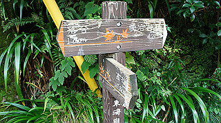 dsc00167_thumb.jpg